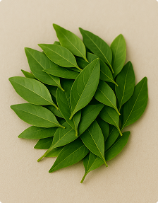 henna-leaves